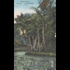 Hawai: 1918: post card Makee Island from Honolulu to Japan