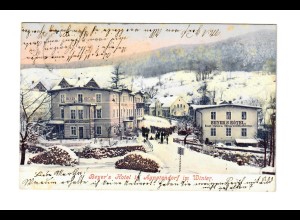 Ansichtskarte 1906 Agnetendorf/Schlesien, Riesengebirge nach Strasbourg