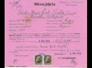 Früher Grenzschein, Grenzschutzkommando Mittenwald aus München, 1918