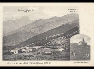 Österreich: 1910: AK Alpe Harlassanger nach Waldheim/Sa