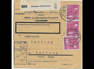 Paketkarte Stuttgart Hohenheim, Landessaatzucht nach Eglfing, MeF 1948