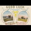 Australien: 1912 Postcard Good luck to Germany. Cows/Kühe, Bauern, Schwan