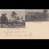 Tonga/Toga: 1900 post card Lifuka to New Zealand