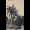 Bermuda: 1910: post card to New Jersey