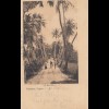 Ceylon: 1905: post card Colombo to Hollande