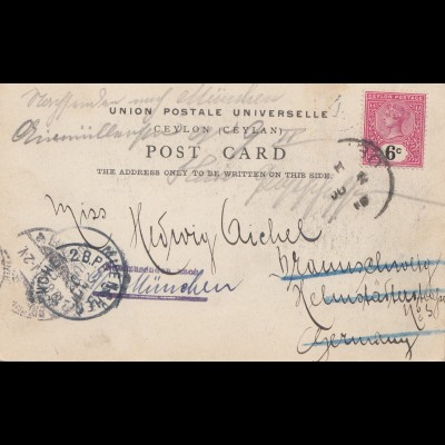 Ceylon: 1900: picture post card to München