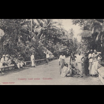 Ceylon: 1909: picture post card Colombo Country Road