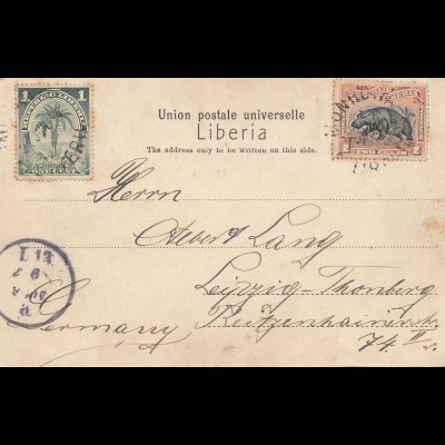 Liberia: 1904: post card Monrovia to Leipzig