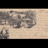 Zanzibar 1902 post card Victoria gardens to Austria