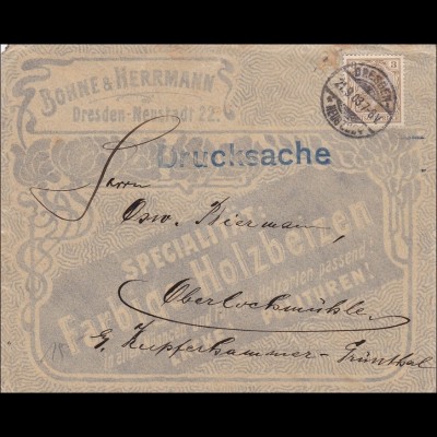 Germania: Drucksachen Brief von Dresden nach Oberlockmühle 1903