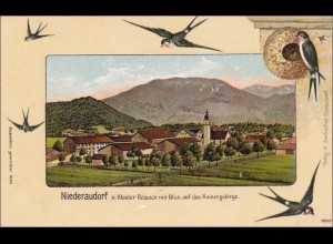 Ansichtskarte AK: Niederaudorf/Kaisergebirge / Schwalben/Vögel