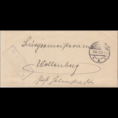 Amtsgericht Neckar-Bischofsheim 1919 nach Wollenberg